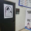 왁싱하는고양이