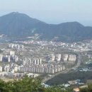 정관신도시시장 이미지