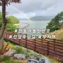 무지개길 | [안동여행] 선성수상길_예끼마을_주차_무지개 후기