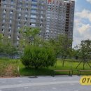 김태현공인중개사사무소 이미지