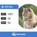 다산 봄 동물병원 이미지