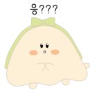 아이보따리 이미지