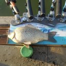 황금좌대 이미지