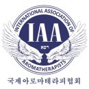 고양이무마취미용 묘갱살롱 이미지