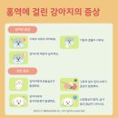 진리동물병원