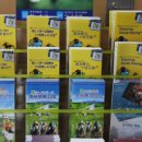 제주경마공원 세계일보