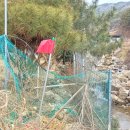 하전농장 이미지