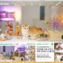 골든스웨터 캐터리 이미지