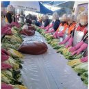 가람재가방문요양센터 이미지