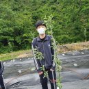 흥성농장 이미지