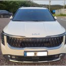 제천 펫택시 | 청주공항스타리아렌트 완전정복✈️, 청주공항승합차렌트 꿀팁까지!