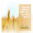 (주)우리농촌살리기공동네트워크 이미지