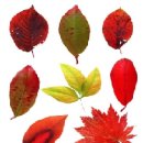 서광@옆 공원도로 이미지