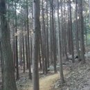 명곡동250 이미지