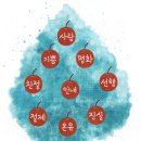 2024년 10월 16일 연중 제28주간 수요일 ＜사랑, 기쁨, 평화, 인내, 호의, 선의, 성실, 온유, 절제＞ 이미지