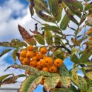 보령국민체육센터 수영장 이미지