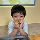 🍃향긋한 매실청 담그기, 기차를 소개합니다🚆 이미지