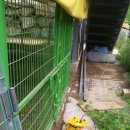 솔미축사 이미지