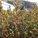 석암농장 이미지