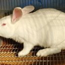 외삼농장 이미지