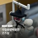사람박물관얼굴 | 국립중앙박물관 굿즈샵 위치·운영시간 총정리｜뮤지엄샵 추천템 솔직후기