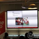 이펙트모션크루
