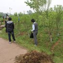 성안중학교 이미지