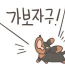 댕댕샤워 이미지