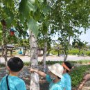 충주남산유 이미지