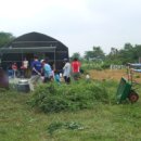 겨레농장 이미지