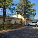 봉정여자 이미지