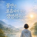 신성요양병원 | 유방암 치료 후에도 불안했던 이유, 명문요정님 라이트 프로그램 후기