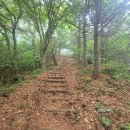 [함오] 함양 삼봉산 오도재주차장 오도봉 등산코스/ 함양오르고 완등인증서 신청 (ft.맛집)