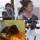 부스스 이미지