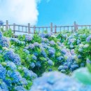 건지목장 이미지