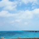 쿠스까페 | [일본] 미야코지마 : 17end, 토리이케, 이라부소바 '카메', 후나쿠스 비치 스노클링