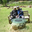 돌석도예박물관 이미지