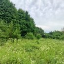 선현농장 이미지