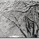 원주치악체육관 이미지