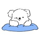 프라이빗어스 이미지