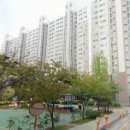 우림,주은청설아파트 Daum카페