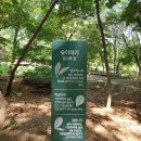 벌등공원 이미지