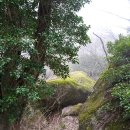 기체육공원 이미지