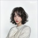 리안헤어시흥은계