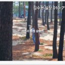 주문진시장약국 이미지