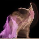 샤츠(Schatz) 이미지