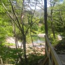 숲속 게르 하우스 이미지