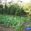 광태농장 이미지