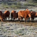 초지서로 이미지