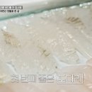 창해로 티스토리
